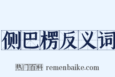 侧巴楞反义词是什么意思的图片